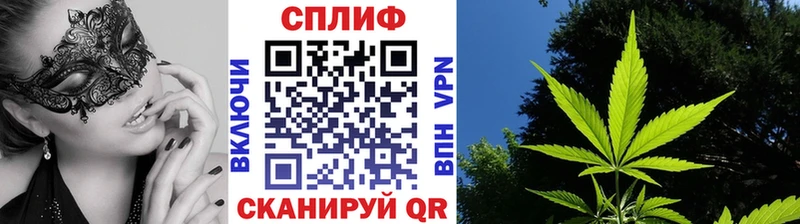 Где можно купить наркотики Балей Cocaine  МЕФ  ГАШИШ  APVP  Марихуана 