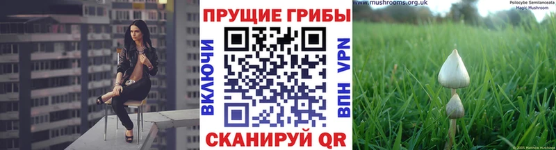 hydra как зайти  дарнет шоп  Балей  Галлюциногенные грибы GOLDEN TEACHER 